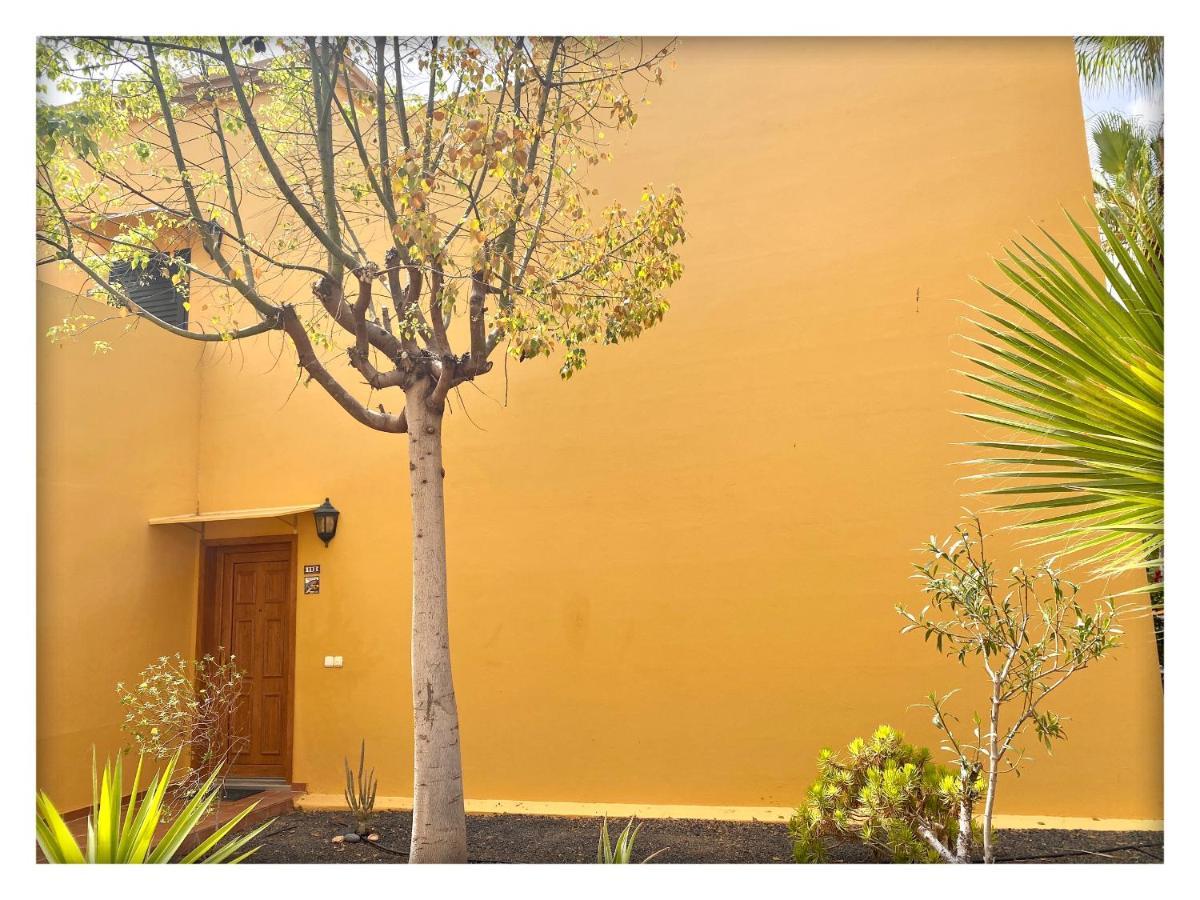 Tamarindo Pura Vida - Relax Y Vistas Al Mar Apartamento Corralejo